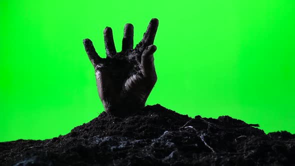 Zombie Hand Emerging From the Ground Grave. Halloween Concept. Green Screen. 010