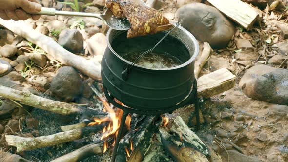 Cooking Fish in Pot on Campfire