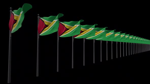Row Of Guyana Flags With Alpha 2K