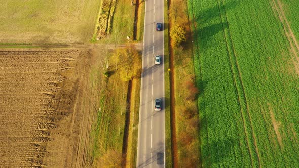 Aerial view of road in beautiful autumn forest at sunset in rural. Beautiful landscape with rural ro