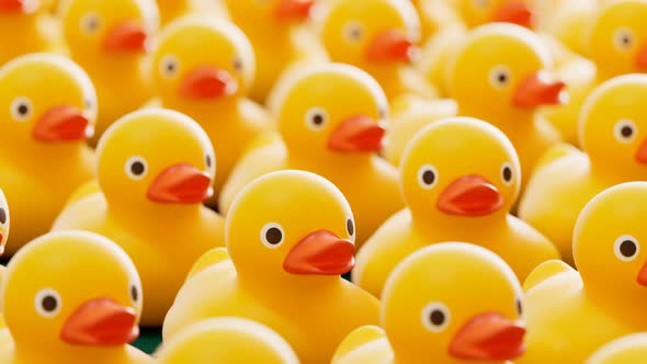 Rubber ducks for fun in the bath. Cute yellow toys are jumping in one direction.