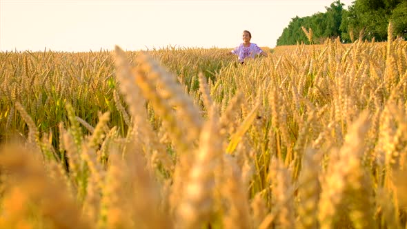 Child in Wheat Field Concept for Ukraine Independence Day