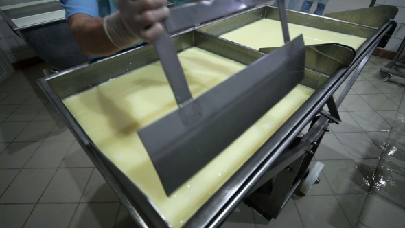 Production of Cheese