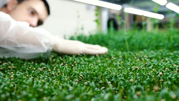 Growing Vegetables at Home