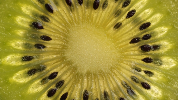 Rotating Kiwi Slice