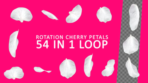 Rotation Cherry Petals alt