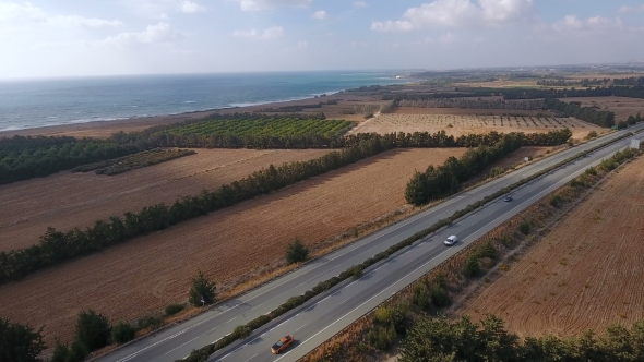 The Scenery of Orange Plantations, Road and Ocean on the Horizon