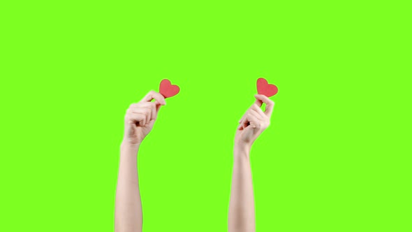 Female Blogger Hold in Hand Little Red Heart on Green Screen