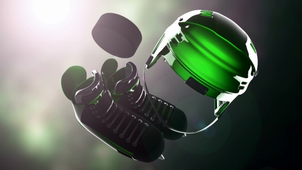 Hockey Puck and Hockey Equipment alt