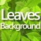 Leaves Background - VideoHive Item for Sale