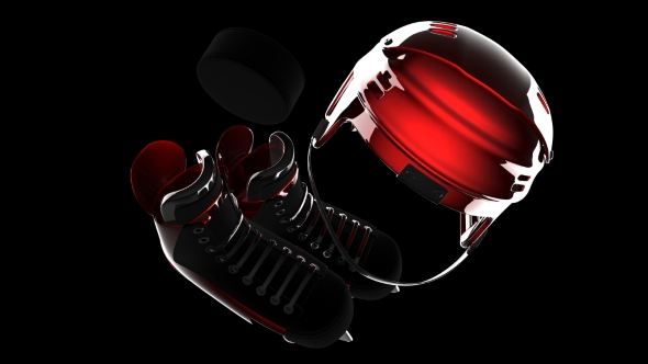 Hockey Puck and Hockey Equipment alt