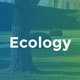 Ecology - Environment & Non-Profit