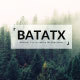 Batatx Power Point Template - GraphicRiver Item for Sale