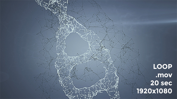 Plexus DNA Strand #3 alt