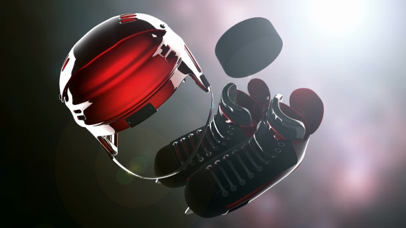 Hockey Puck and Hockey Equipment alt