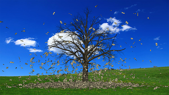Money Falling From The Tree alt