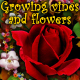 Growing vines and flowers - VideoHive Item for Sale