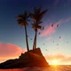Palm Rock Island and Birds - VideoHive Item for Sale