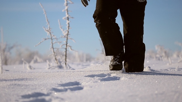 A Man Walks in the Snow alt