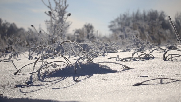 Beautiful Snow-Covered Land alt