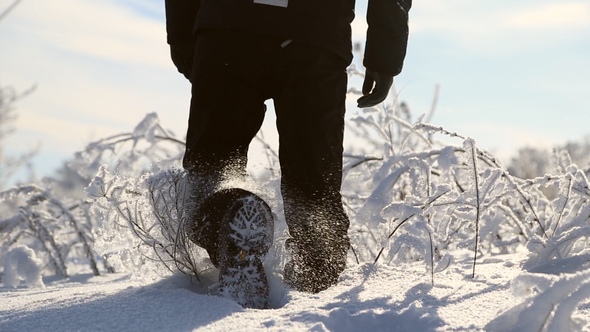 A Man Walks in the Snow alt