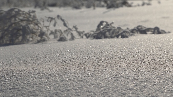 Beautiful Snow-Covered Land alt