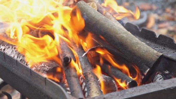 Burning Wood and Coal in Fire Wood for Barbecue Charcoal