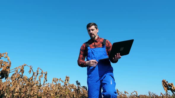 Sick Plants Are Getting Examined By a Male Agronome