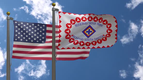 Usa Flag Vs Rosebud Sioux Tribe Flag Native American Flag  On Flagpole