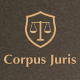 Corpus Juris - Law Firm and Consultation WordPress Theme - ThemeForest Item for Sale