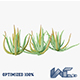 Aloe Vera - 3DOcean Item for Sale