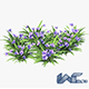 Blue Flower - 3DOcean Item for Sale