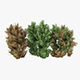Alternanthera Shrubs - 3DOcean Item for Sale