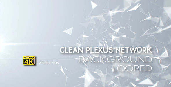 Clean Plexus Network Background