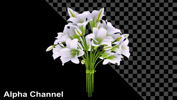 Flowers White Bouquet alt