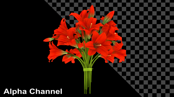 Flowers Red Bouquet alt