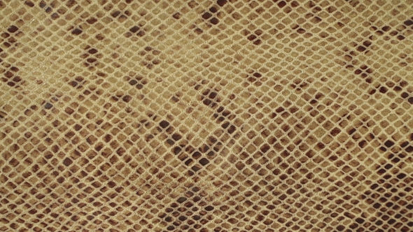 Texture Genuine Leather, Embossed Under Skin Sand Python, Background. Dolly Right Left