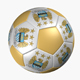 SOCCER BALL MANCHESTER CITY - 3DOcean Item for Sale