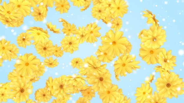 Flowers Yellow