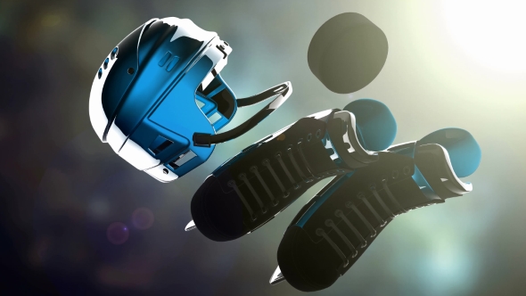 Hockey Puck and Hockey Equipment alt