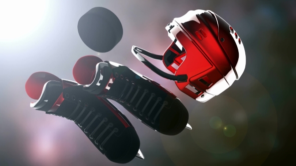 Hockey Puck and Hockey Equipment alt