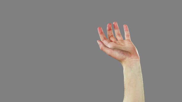 Close-up of hands gesturing