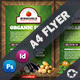 Organic Market Flyer Templates - GraphicRiver Item for Sale
