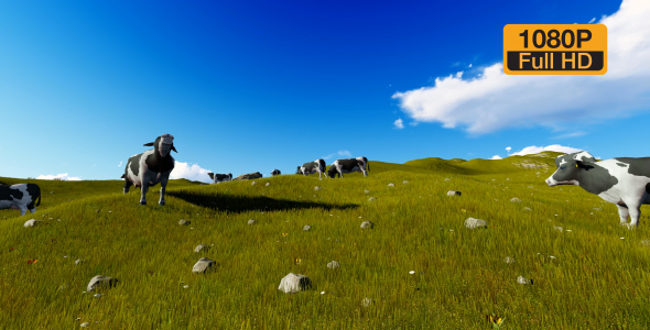 Cows and beautiful nature