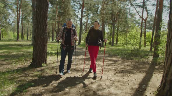 Middle Aged Backpacker Couple with Trekking Poles Hiking in Wood