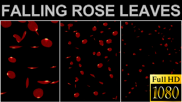 Falling Rose Petals Pack - 6 Clips - Alpha