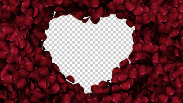 Animation Petals of Roses in a Heart