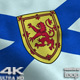 Nova Scotia Flag 4K - VideoHive Item for Sale