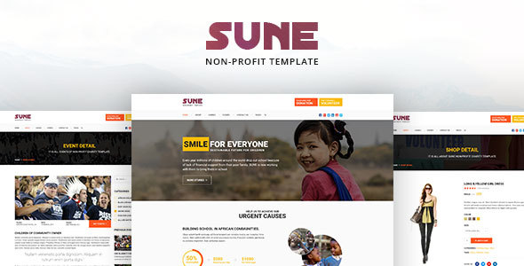 SUNE non-profit PSD Template