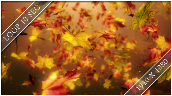 Flight Autumn Leaves 4 alt